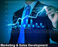 Marketing & Sales Development